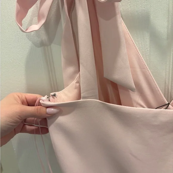 Dynamite Light Pink Garment - Picture 5 of 7